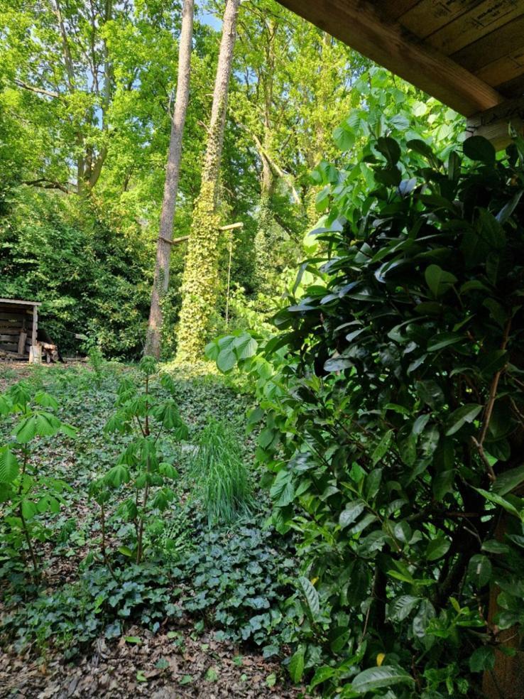 Benb Op De Vleet Vrijstaande Accommodatie Plantage Centrum Exterior foto
